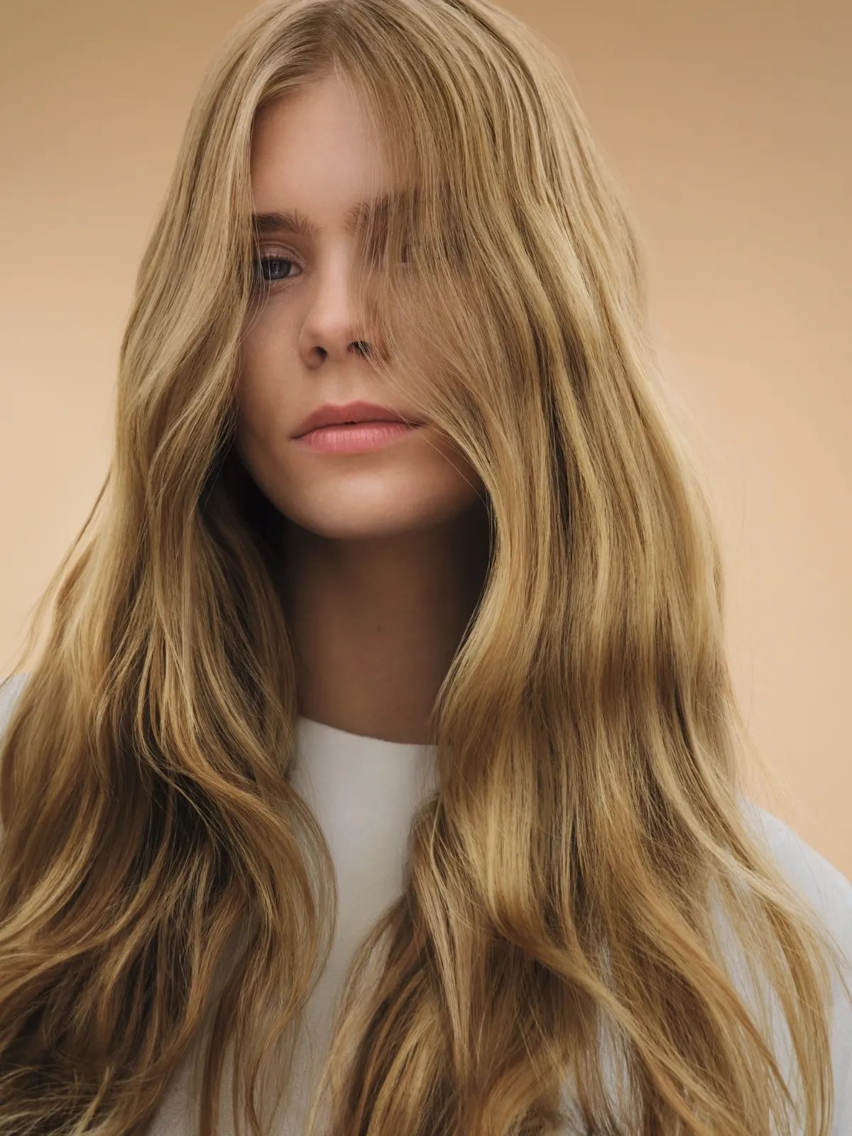 Soft blonde result used as a supporting guide visual for colour and condition decisions
